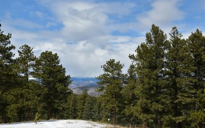 Northern Colorado Health Insurance 101: What Every Person Actually Needs to Know