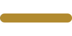 gold dash